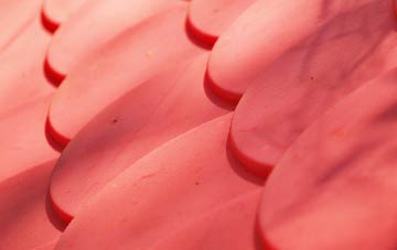 Milton Ernest plastic roof costs