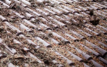 Milton Ernest roof cleaning companies